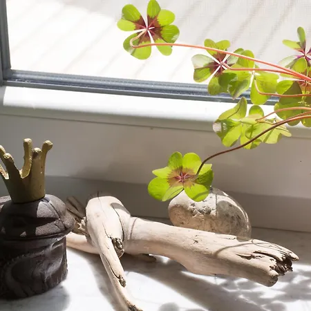 Traeume Am Apartamento Nonnenhorn