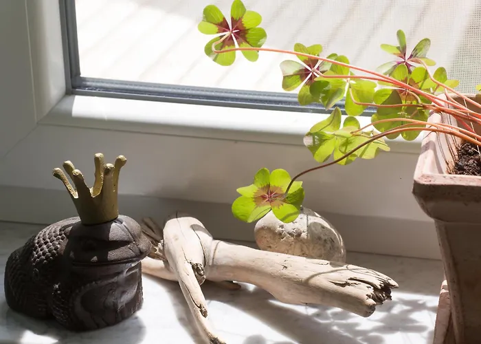 Traeume Am Apartamento Nonnenhorn